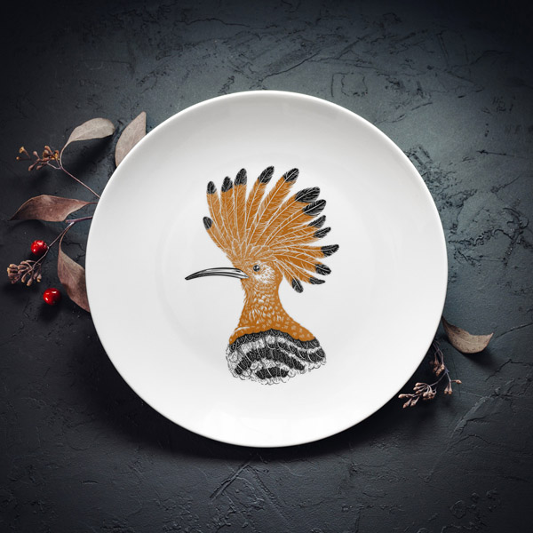 Šķīvis, dadzis, 240x240x27mm, Pupuķis Šķīvis, dadzis, 240x240x27mm, Pupuķis