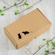 Dāvanu kaste ar divām lāzergrieztām pelēm kreisajā stūrī