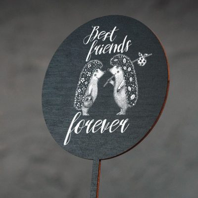 Dekoratīvs kūku dekors ar divu ežu zīmējumu un tekstu: "Best friends forever"