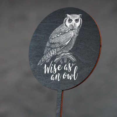 Dekoratīvs kūku dekors ar pūces zīmējumu un tekstu: "Wise as an owl"