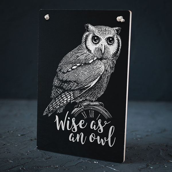 Melns dekoratīvais koka dēlītis ar baltu pūces zīmējumu un tekstu: "Wise as an owl"