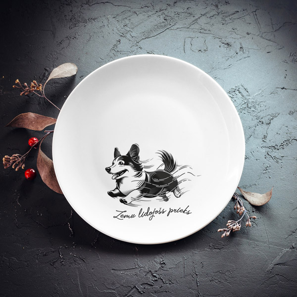 Šķīvis, dadzis, 205x205x25mm, Korgijs, Zemu lidojošs prieks Šķīvis, dadzis, 205x205x25mm, Korgijs, Zemu lidojošs prieks