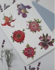 Apsveikuma kartīte ar sešu ziedu zīmējumu, 10x15cm