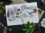 Atverama apsveikuma kartīte ar pļavas ziedu zīmējumu, 10x15cm