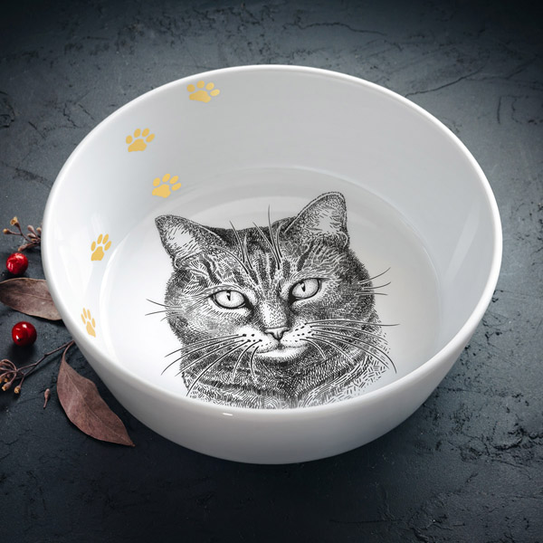 Bļoda, dadzis, 900ml, Mājas kaķis Bļoda, dadzis, 900ml, Mājas kaķis