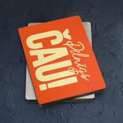 Koka magnēts, dadzis, 50x70mm, Pilnīgs ČAU